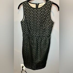 Anne Taylor loft key hole lace dress